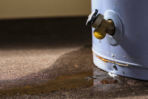 Best 24-hour water damage restoration  in Casper, WY