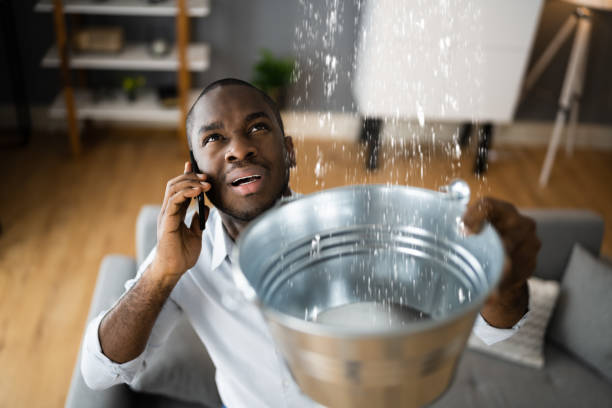 Best Carpet water damage restoration  in Casper, WY