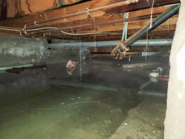 Best 24/7 water damage repair  in Casper, WY