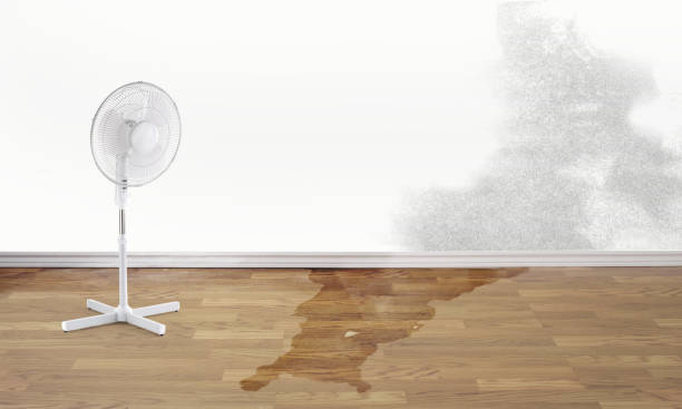 Fire Damage Restoration in Casper, WY